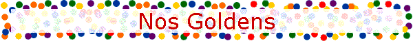 Nos Goldens